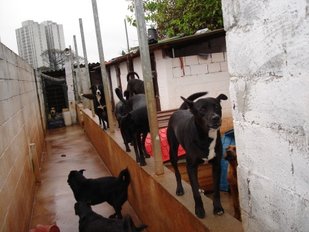 Divulgação/ USP Convive